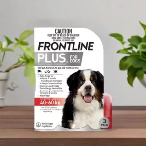 Frontline